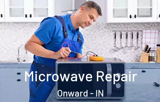  Microwave Repair Onward - IN