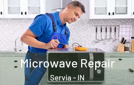  Microwave Repair Servia - IN