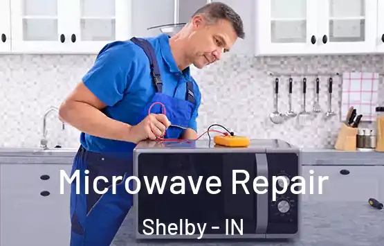  Microwave Repair Shelby - IN
