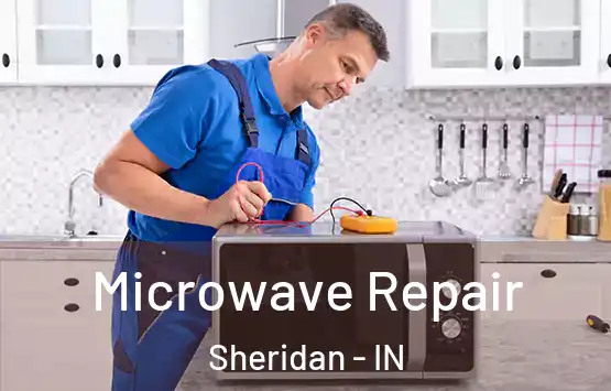  Microwave Repair Sheridan - IN