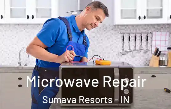  Microwave Repair Sumava Resorts - IN