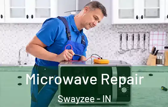  Microwave Repair Swayzee - IN