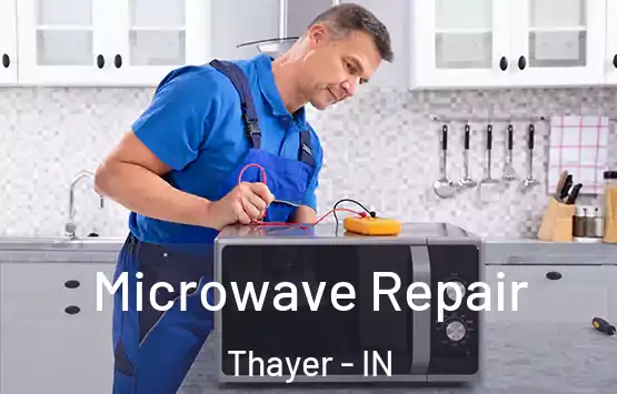  Microwave Repair Thayer - IN