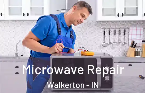  Microwave Repair Walkerton - IN