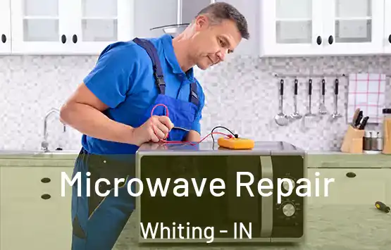  Microwave Repair Whiting - IN