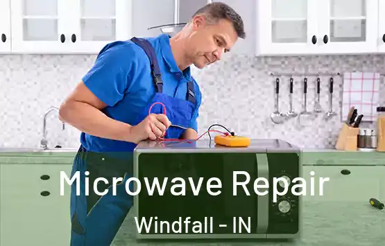  Microwave Repair Windfall - IN