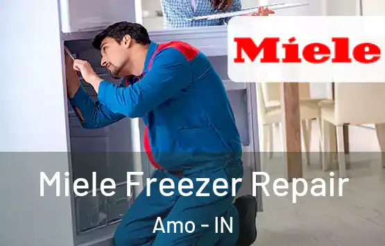  Miele Freezer Repair Amo - IN