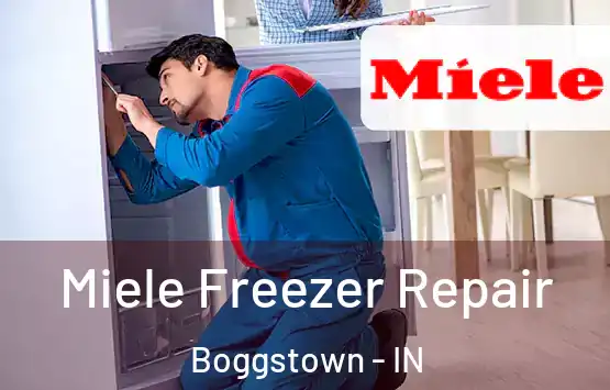  Miele Freezer Repair Boggstown - IN