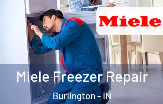  Miele Freezer Repair Burlington - IN