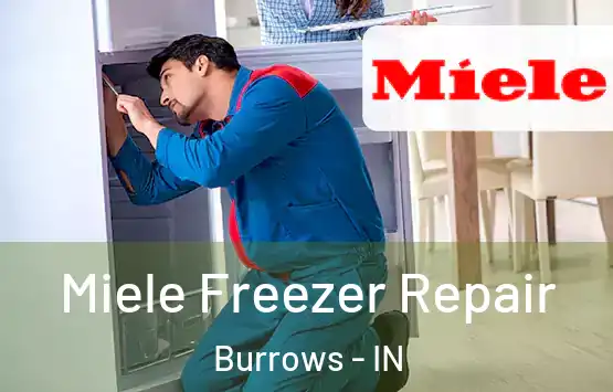 Miele Freezer Repair Burrows - IN