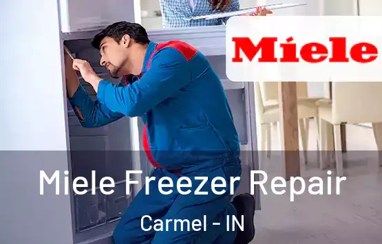  Miele Freezer Repair Carmel - IN