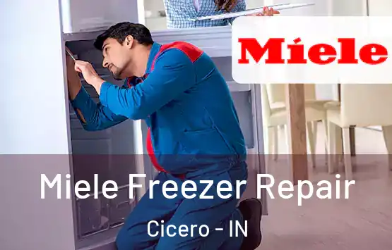  Miele Freezer Repair Cicero - IN
