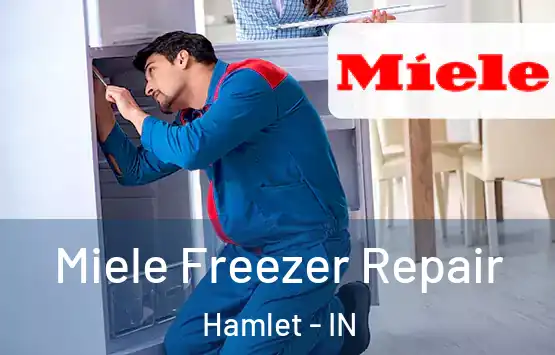  Miele Freezer Repair Hamlet - IN