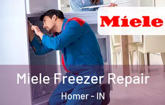  Miele Freezer Repair Homer - IN