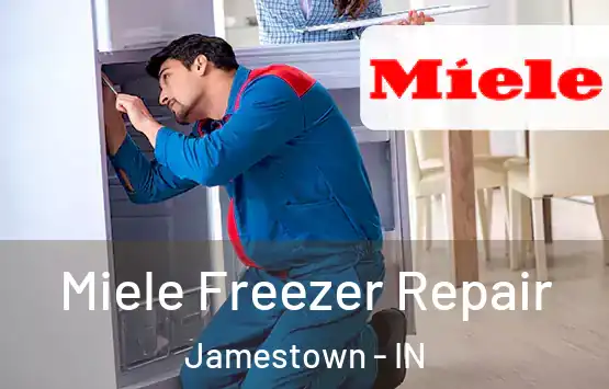  Miele Freezer Repair Jamestown - IN
