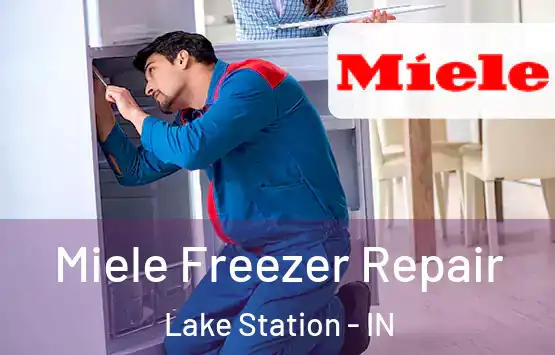  Miele Freezer Repair Lake Station - IN