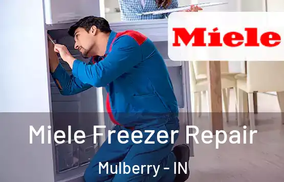  Miele Freezer Repair Mulberry - IN