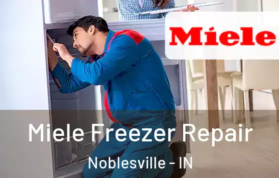  Miele Freezer Repair Noblesville - IN