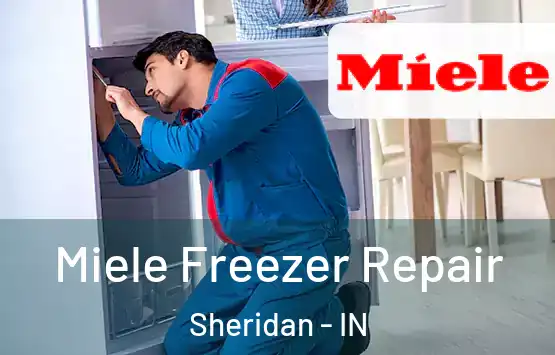  Miele Freezer Repair Sheridan - IN