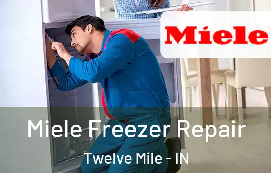 Miele Freezer Repair Twelve Mile - IN