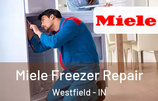  Miele Freezer Repair Westfield - IN