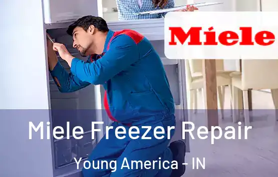  Miele Freezer Repair Young America - IN