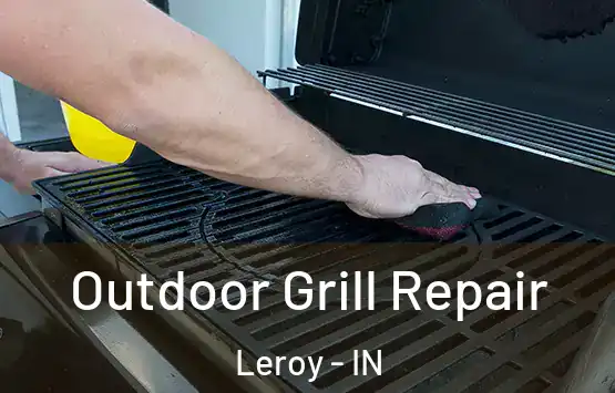  Outdoor Grill Repair Leroy - IN