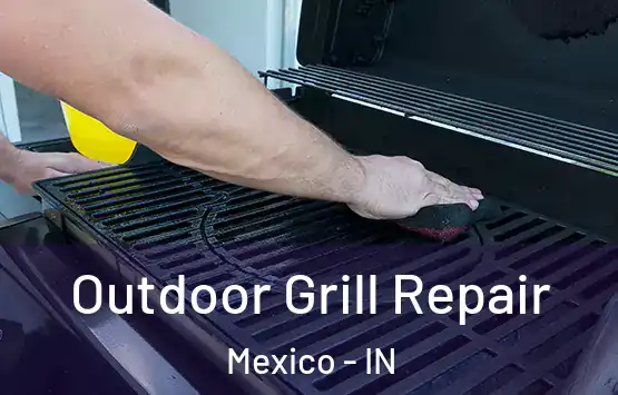  Outdoor Grill Repair Mexico - IN