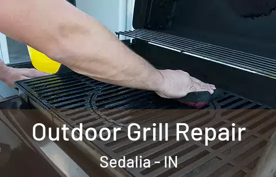  Outdoor Grill Repair Sedalia - IN