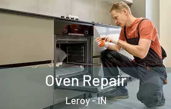  Oven Repair Leroy - IN