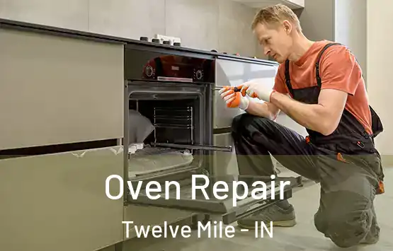  Oven Repair Twelve Mile - IN
