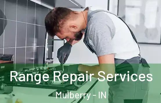  Range Repair Services Mulberry - IN