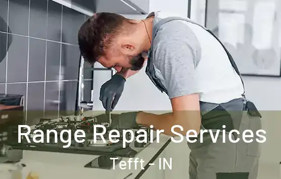  Range Repair Services Tefft - IN