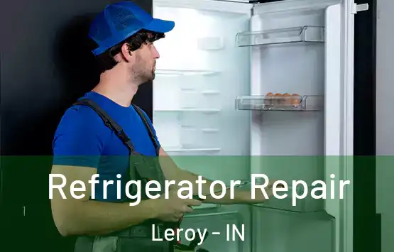  Refrigerator Repair Leroy - IN