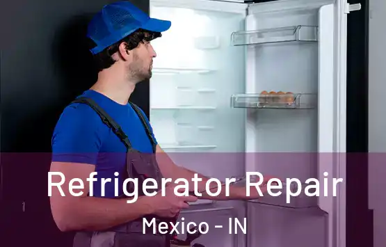  Refrigerator Repair Mexico - IN