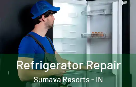 Refrigerator Repair Sumava Resorts - IN