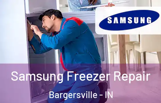 Samsung Freezer Repair Bargersville - IN