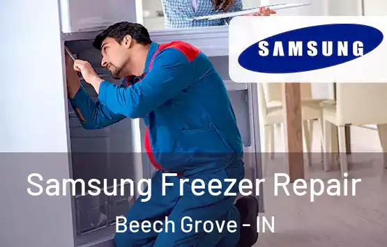 Samsung Freezer Repair Beech Grove - IN