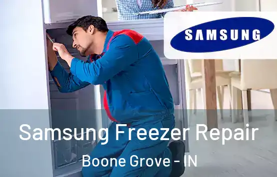  Samsung Freezer Repair Boone Grove - IN