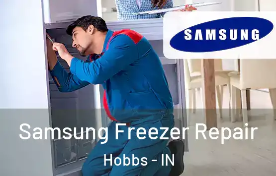  Samsung Freezer Repair Hobbs - IN