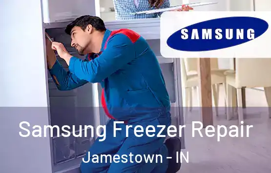  Samsung Freezer Repair Jamestown - IN