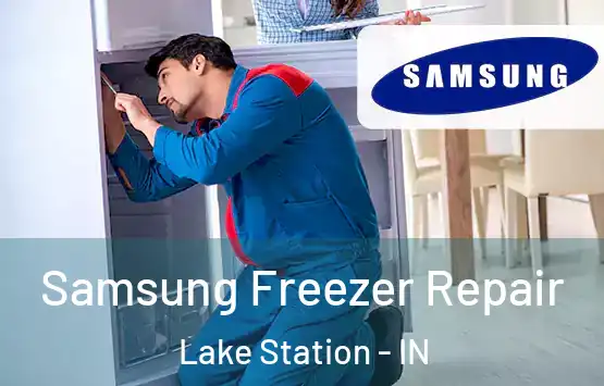  Samsung Freezer Repair Lake Station - IN
