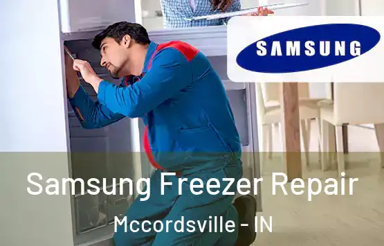  Samsung Freezer Repair Mccordsville - IN
