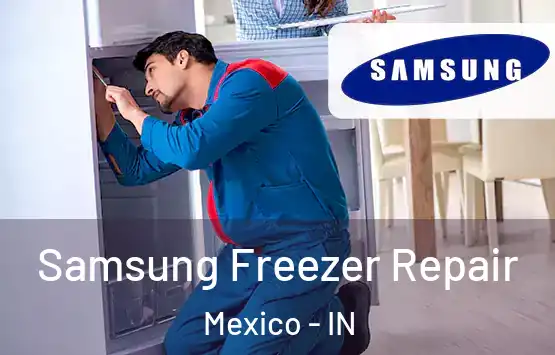  Samsung Freezer Repair Mexico - IN