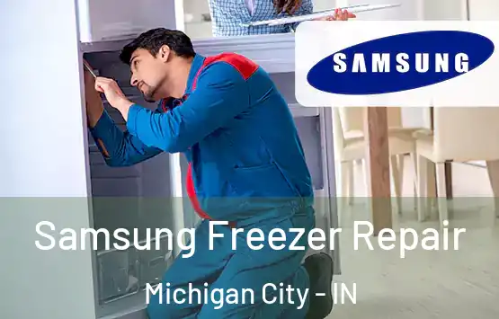  Samsung Freezer Repair Michigan City - IN