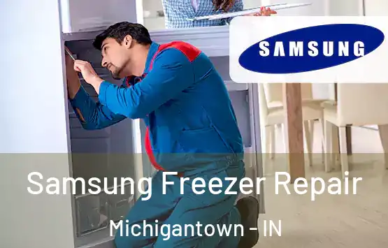  Samsung Freezer Repair Michigantown - IN