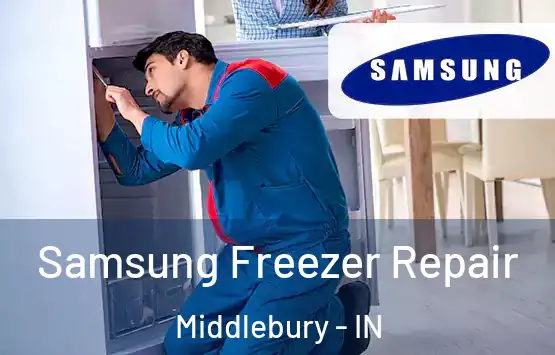  Samsung Freezer Repair Middlebury - IN