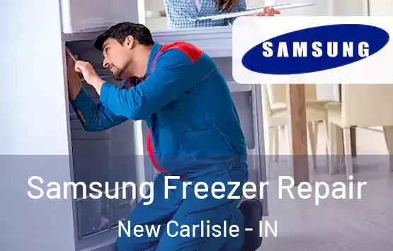  Samsung Freezer Repair New Carlisle - IN
