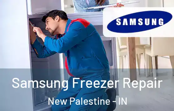  Samsung Freezer Repair New Palestine - IN