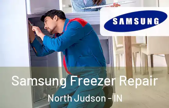  Samsung Freezer Repair North Judson - IN